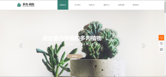 山东网站建设定制平衡布局